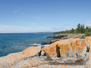 PFAS forever chemicals increasing in Lake Superior