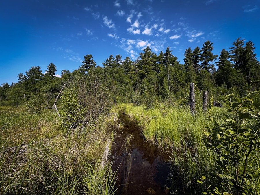 Flooded BWCA portage trail