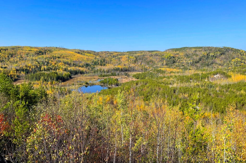 colorful fall leaves on the Gunflint Trail in MN