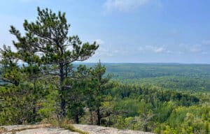 Carlton Peak Trail Hike