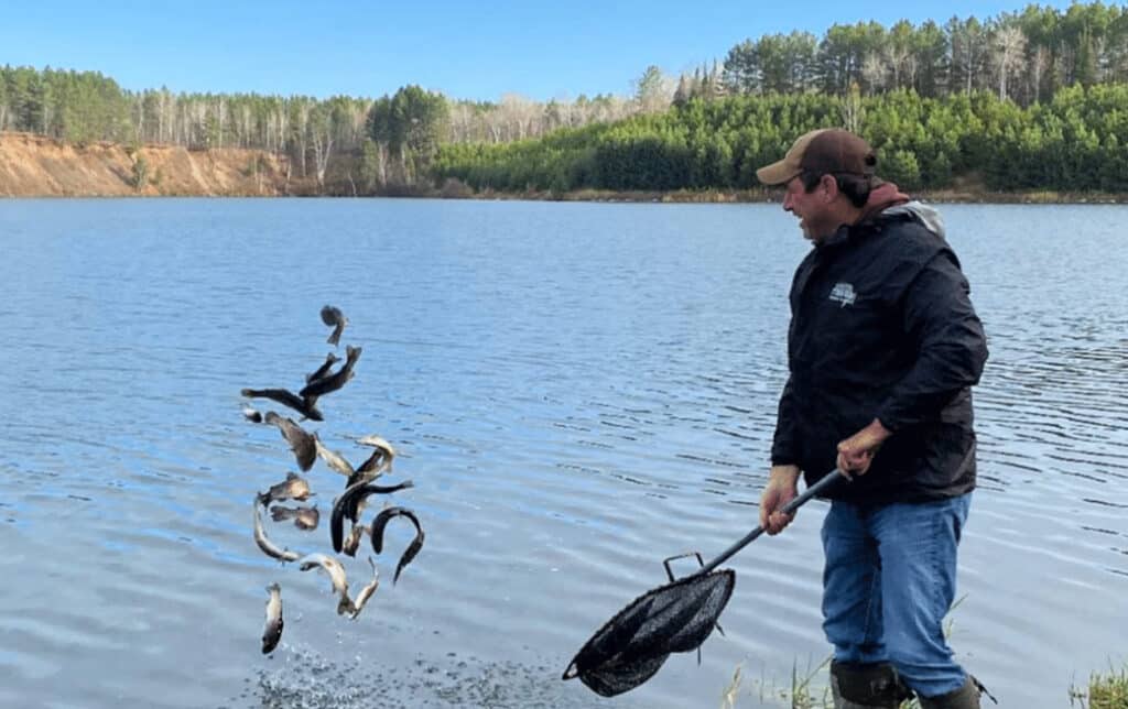 stocking a former mine pit with trout in MN