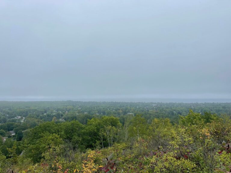 Hawk Ridge Bird Observatory in Duluth, MN