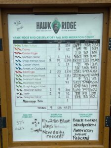 Hawk Ridge Bird Observatory in Duluth, MN