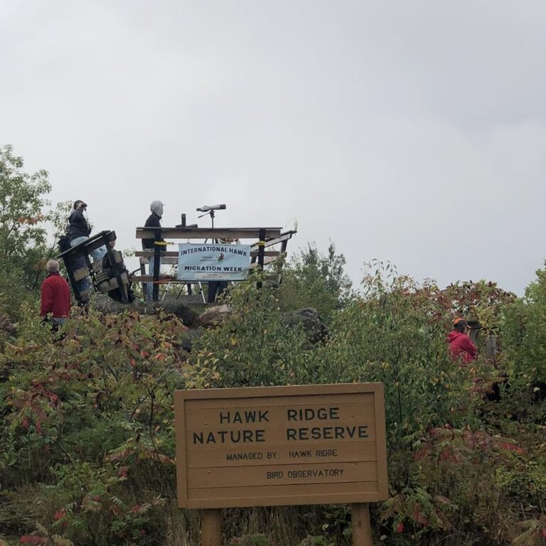 Hawk Ridge Bird Observatory in Duluth, MN