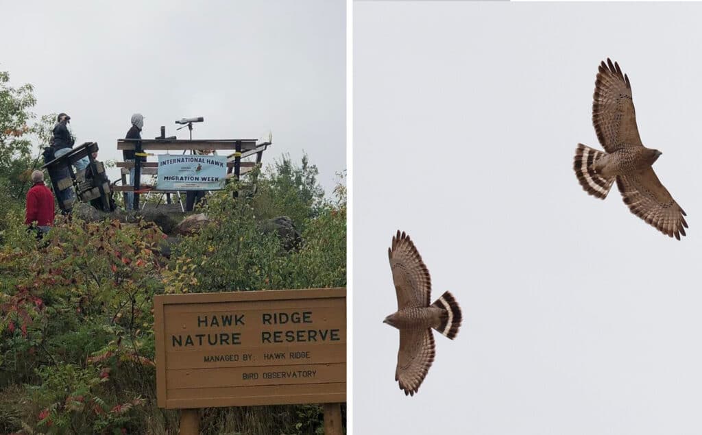 visiting Hawk Ridge Duluth