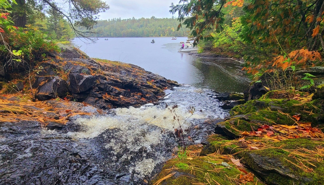Fall in Voyageurs National Park