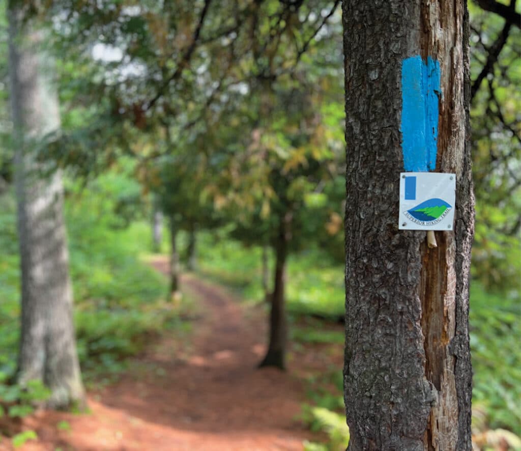 Blazed trail on tree along Superior Hiking Trail