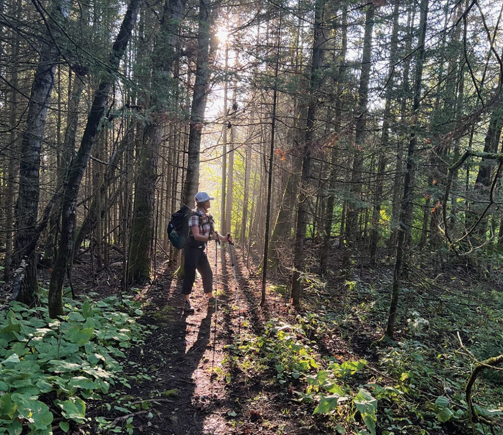 Hiker on Superior Hiking Trail with trees