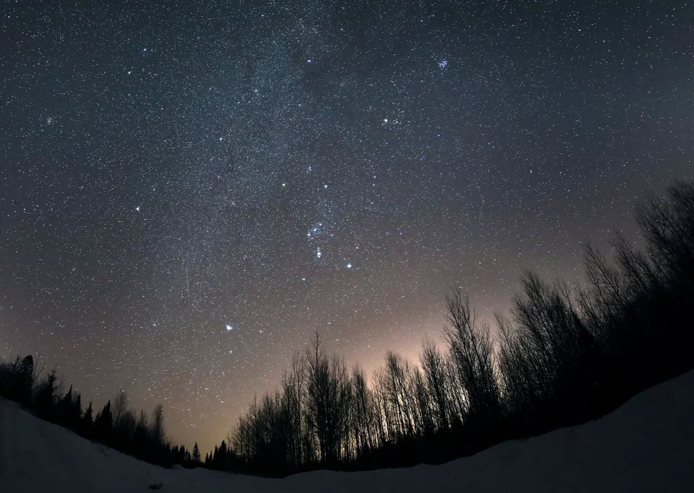 Dark night sky stars above forest in Voyageurs Park MN