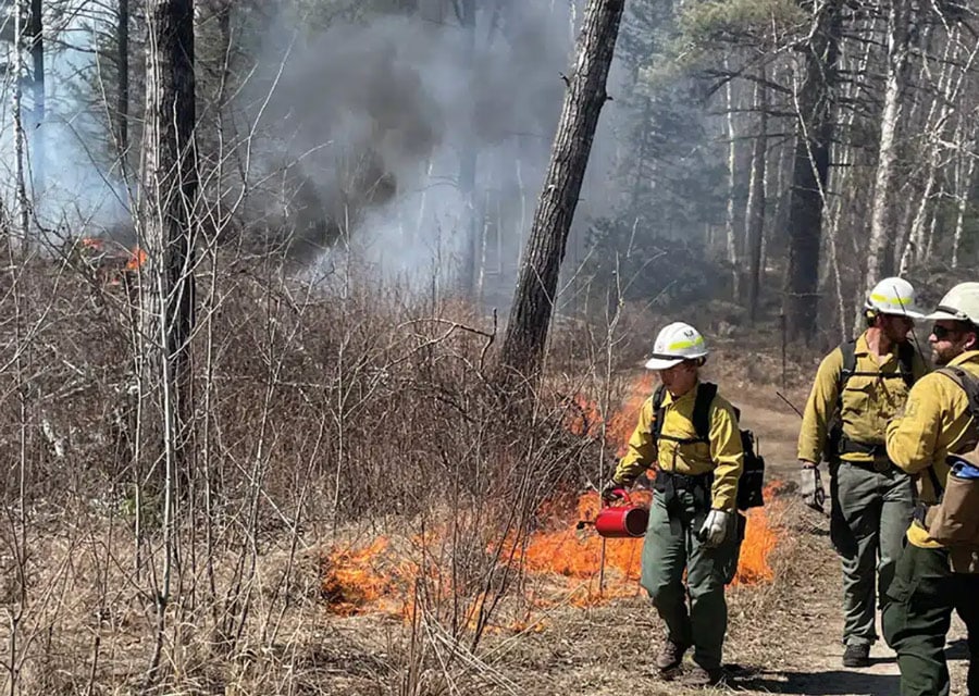 Forest service staff conducts prescribed burn in MN
