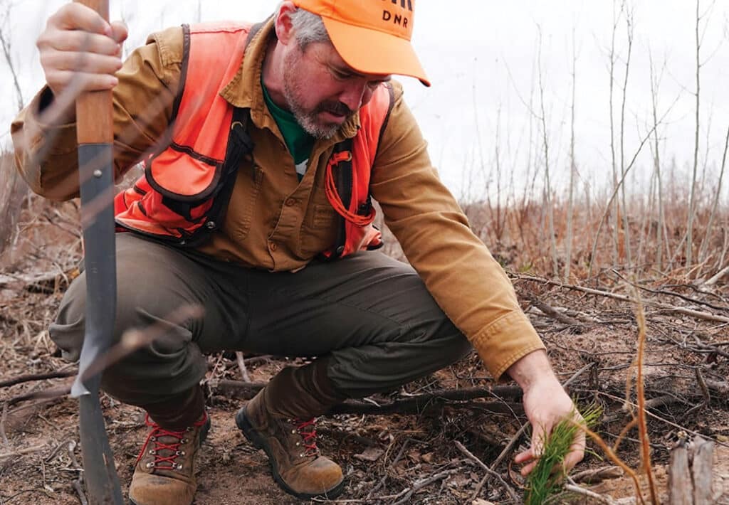 A planting crew member plants red pine seedlings on a site in Nemadji State Forest