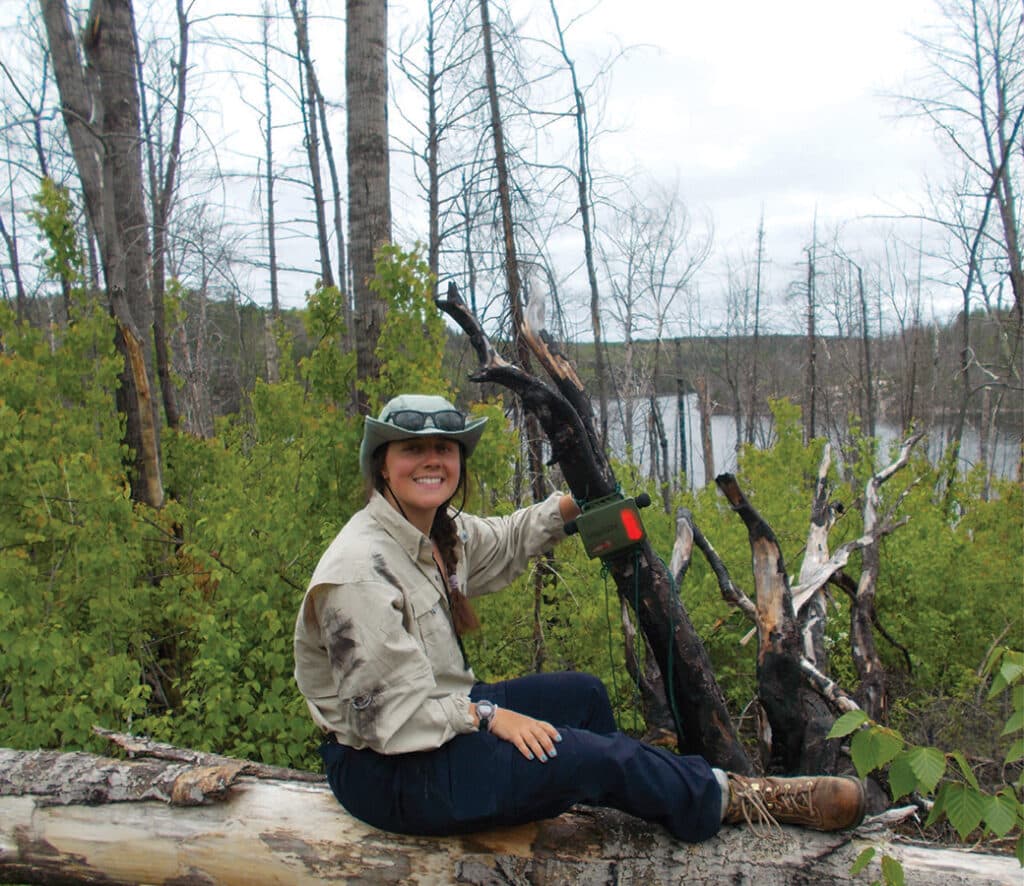 Quetico Park researcher Katie Tripp setting up equipment on downed tree for birdsong research
