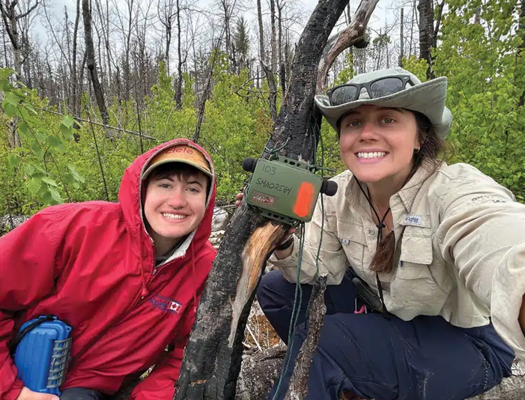 Quetico Park researchers set up equipment for birdsong research
