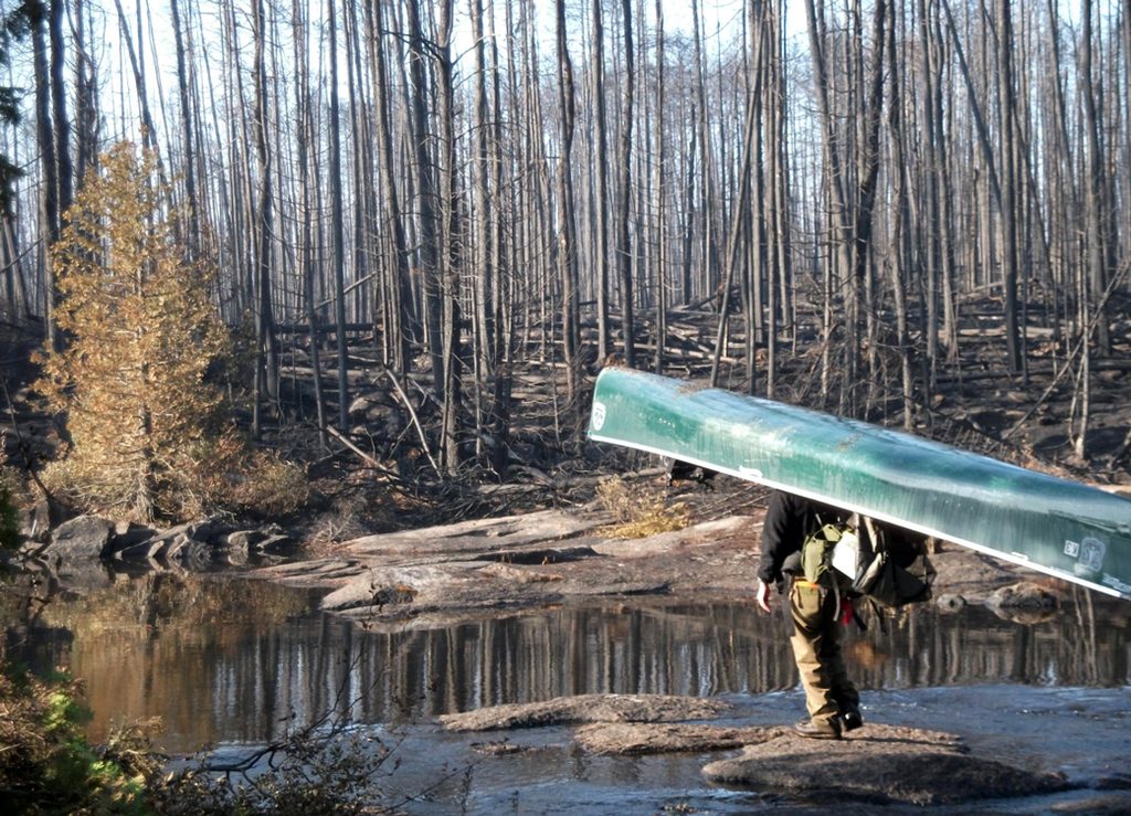 BWCA Fires ranger holds canoe in burned wilderness