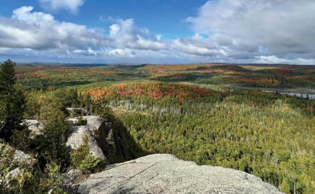 View over Finland State Forest MN