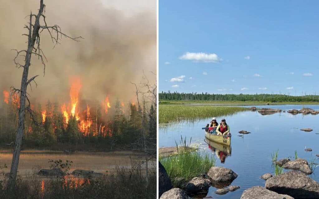 15 years after Pagami Creek Fire