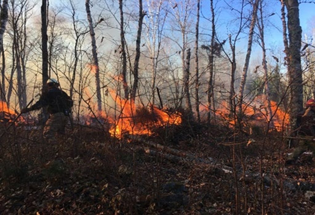 Superior National Forest fire staff conducting fall pile burning operations.