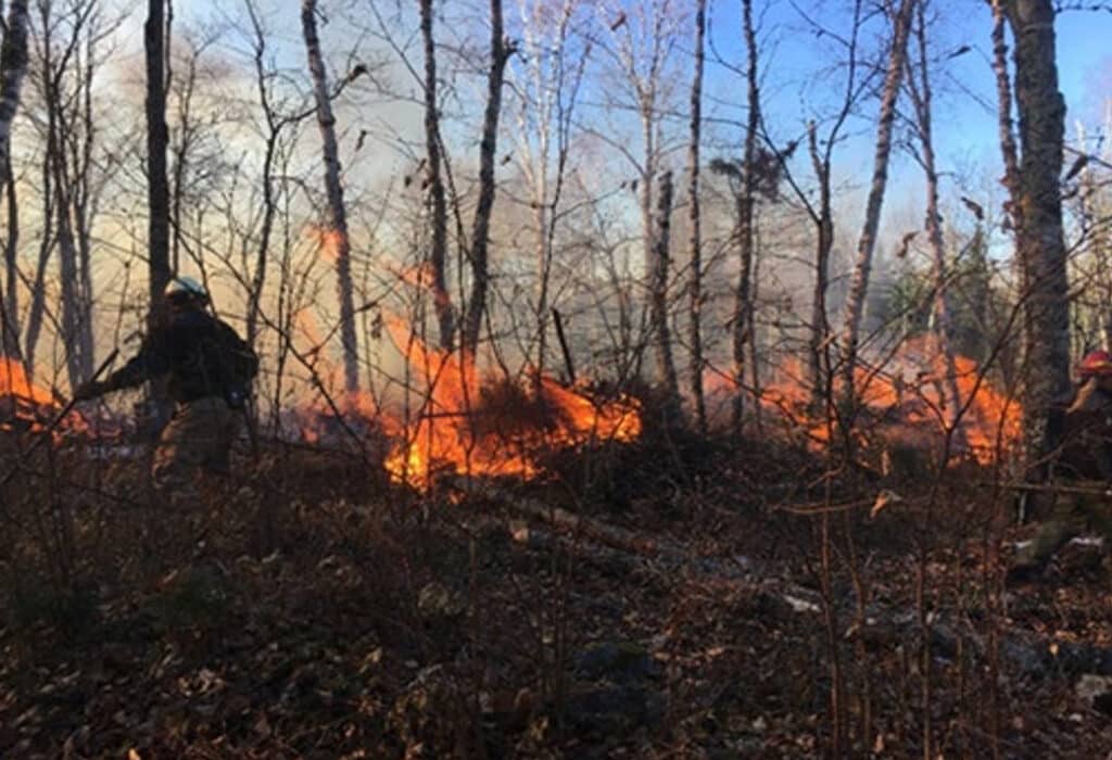 Prescribed burns on Gunflint Trail