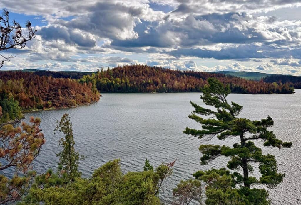 View over Knife Lake BWCA showing burned forest