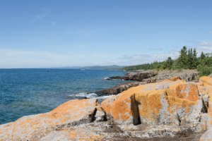 PFAS forever chemicals increasing in Lake Superior