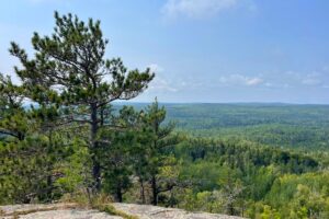 Carlton Peak Trail Hike