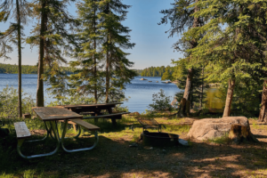 MN forest campsite Lake Jeanette