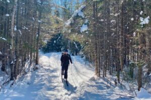 Banadad Ski Trail in BWCA