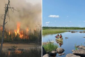 15 years after Pagami Creek Fire